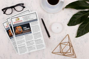 imgi_4_edicao-maio2025